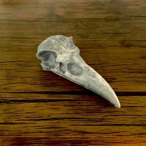 Raven Skull head